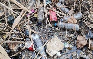 Sapanca Gölü için bu fotoğraflarla uyarıda bulundular