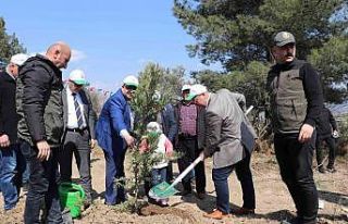 Şehit Yaşar Cinbaş Hatıra Ormanı Kırkağaç’ta...