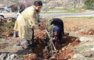 Şehitler adına iki orman kuruldu, ilk fidanları...