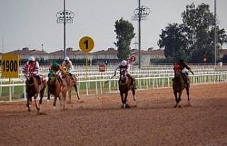 Seyhan Belediye Başkanlığı Koşusu’nu Toramankaya...