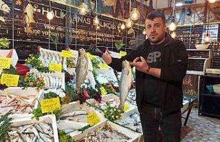 Siirtli balıkçılar balığa ilgiden memnun