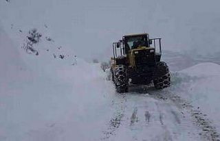 Siirt’te 28 köy yolu ulaşıma kapandı