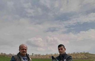 Siirt’te yaralı bulunan kuzgun tedavisinin ardından...