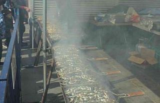 Şile’de 1. Hamsi ve Kültür Festivali’nde renkli...