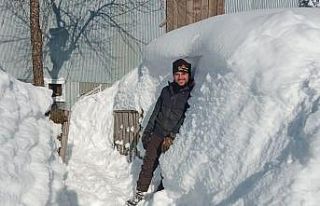 Sinekli Yaylası kara gömüldü