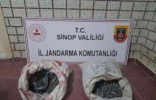 Sinop’ta 100 bin lira değerinde ağ kurşunları...
