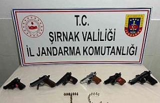 Şırnak’ta Kaçakçılık ve Asayiş Operasyonu:...