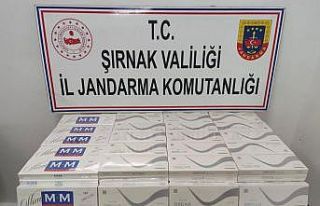 Şırnak’ta uyuşturucu ve kaçakçılık operasyonu:...