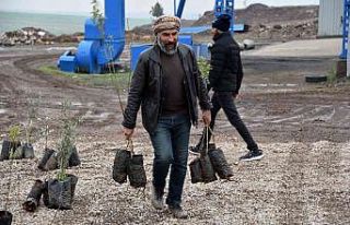 Siverek’te çiftçilere meyve fidanı dağıtıldı