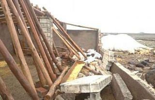 Siverek’te çöken ahırda 7 koyun telef oldu