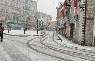 Soğuk hava ve kar yağışı bu ilçede hayatı felç...