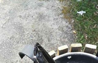 Spor yapmaya geldiler, çöpde gördükleri manzara...