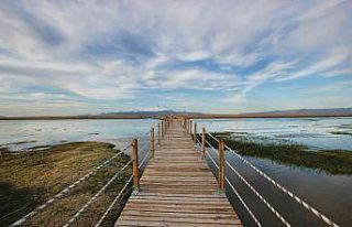 Sultan Sazlığı yürüyüş yolları onarılıyor