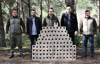 Süreyya Tabiat Parkına kuş yuvaları yerleştirildi