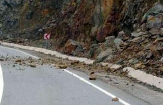 Sürücünün dikkati faciayı engelledi