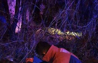 Takla atan otomobil çukura uçtu: 3 yaralı