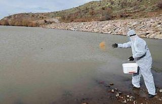 Talas’ta sinek ve haşerata erken önlem