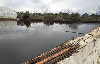 Tarımsal alanları kirleten zeytinyağı fabrikasına...