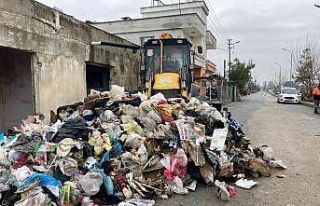 Tarsus’ta bir evden 3 kamyon çöp çıktı