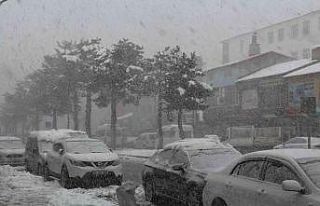 Tatvan’da kar yağışı