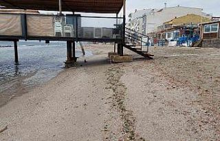 Tekirdağ’da deniz 15 metre çekildi: Kral yolu...