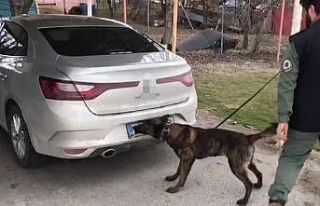 TEM’de 4 kilo 700 gram esrar ele geçirildi: 1 gözaltı