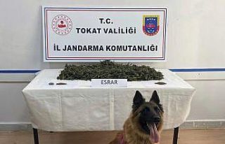 Tokat merkezli 3 ilde uyuşturucu operasyonu: 24 kişi...
