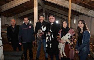 Tokat’ta 2 yılda 912 çiftçi sürü sahibi oldu