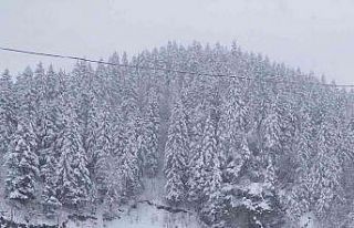 Trabzon-Bayburt karayolu kar nedeniyle ulaşıma kapandı