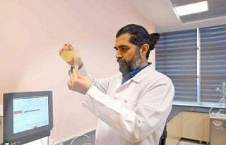 Türkiye’de bir ilk: "Propolis zeytinyağında...