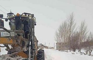 Tuşba Belediyesi’nden karla mücadele çalışması