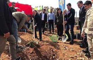 Tut’ta fidanlar toprakla buluştu