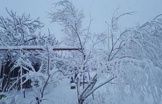 Tuzluca’da kar yağışı etkili oluyor