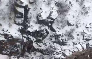 Uçuruma yuvarlanan keçi 6 saatte kurtarıldı