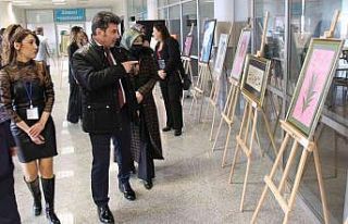 Üniversitede ’’kadın’’ konulu sergi