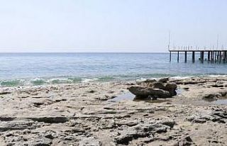 Ünlü profesörden deniz çekilmeleriyle ilgili rahatlatan...