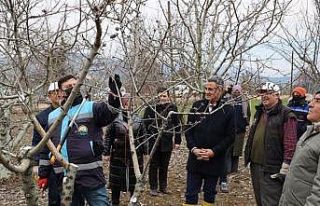 Üreticilere uygulamalı eğitim verildi