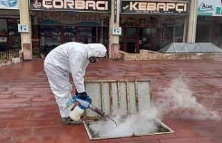 Ürgüp Belediyesinden haşerelere karşı kışlak...