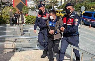 Uyuşturucu almak için 13 yayla evini soydu