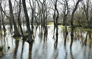 Vali Dağlı’dan Kuş Cenneti’ne davet: "Herkes...