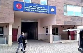 Van’da 6 organizatör tutuklandı