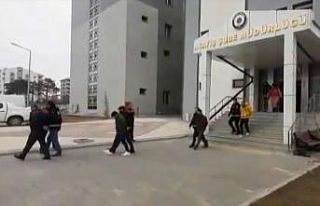 Van’da fuhuş operasyonu: 5 tutuklama