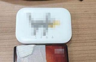 Van’da gümrük kaçakçılığı operasyonu