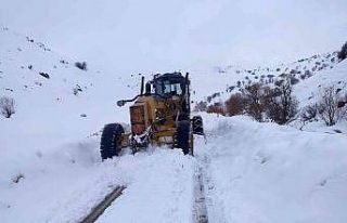 Van’da karla mücadele çalışması