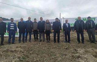 Vezirköprü’de 36 bin 950 fidan toprak ile buluşacak