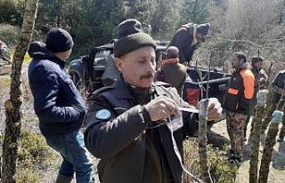 Yabani hayvanlar için verimsiz meyve ağaçları...