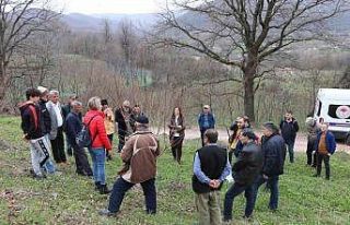 Yalova’da çiftçilere Trabzon hurması budama eğitimi