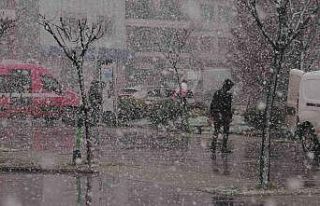 Yalova’da kar yağışı hayatı olumsuz etkiliyor