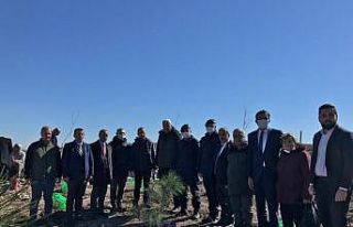 Yanan ormanlık alanı şehit yakınları ve gaziler...