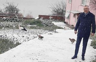 Yaren Leylek karla tanıştı, soluğu dostunun yanında...